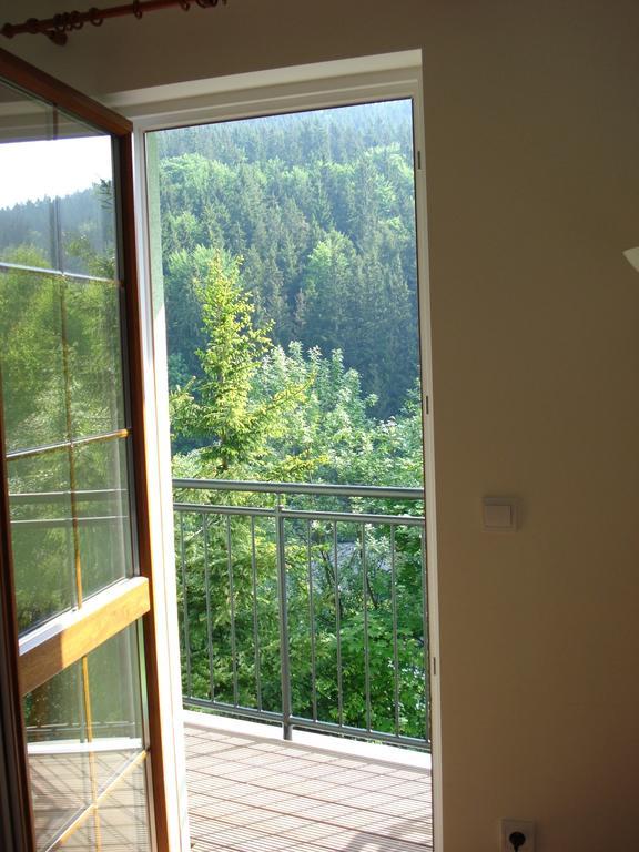 Horske Apartmany Jeseniky Malá Morávka Cameră foto